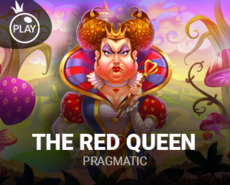 Live Casino image