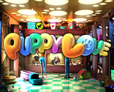 Live Casino image