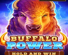 Live Casino image