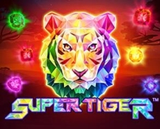 Live Casino image