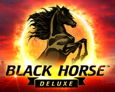 Live Casino image