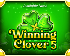 Live Casino image