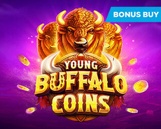 Live Casino image