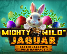 Live Casino image