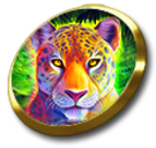 Live Casino image