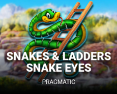 Live Casino image