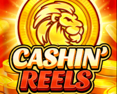 Live Casino image