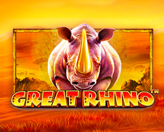 Live Casino image
