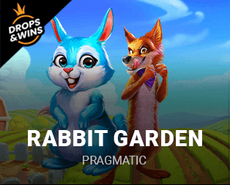 Live Casino image