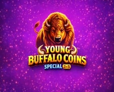 Live Casino image