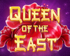 Live Casino image