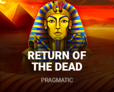 Live Casino image
