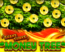 Live Casino image