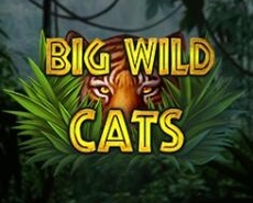 Live Casino image