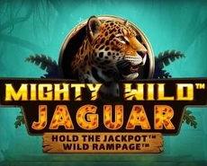 Live Casino image