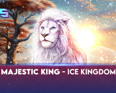 Live Casino image