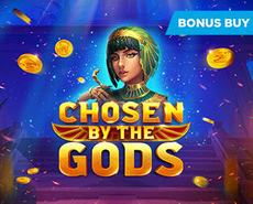 Live Casino image