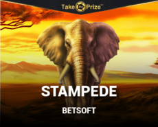 Live Casino image