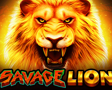 Live Casino image