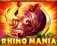 Live Casino image