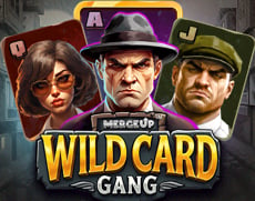 Live Casino image