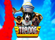 Live Casino image
