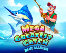 Live Casino image