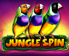 Live Casino image