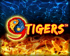 Live Casino image