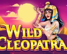 Live Casino image