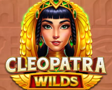 Live Casino image