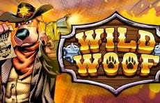 Live Casino image