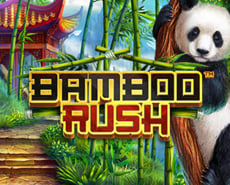 Live Casino image
