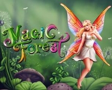 Live Casino image