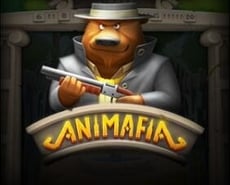 Live Casino image