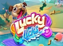 Live Casino image