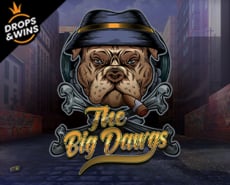 Live Casino image