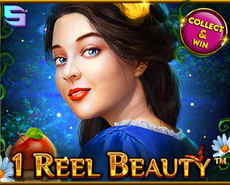 Live Casino image