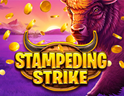 Live Casino image