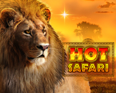 Live Casino image