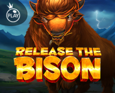 Live Casino image