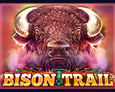 Live Casino image