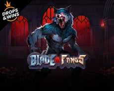 Live Casino image