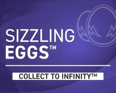 Live Casino image