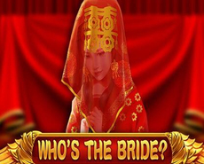 Live Casino image