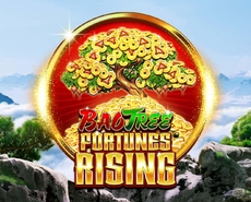 Live Casino image