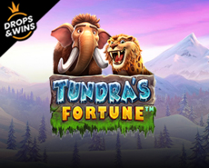 Live Casino image