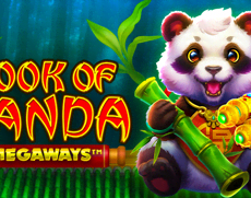 Book of Panda