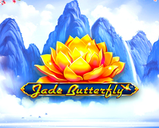 Live Casino image