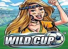 Live Casino image